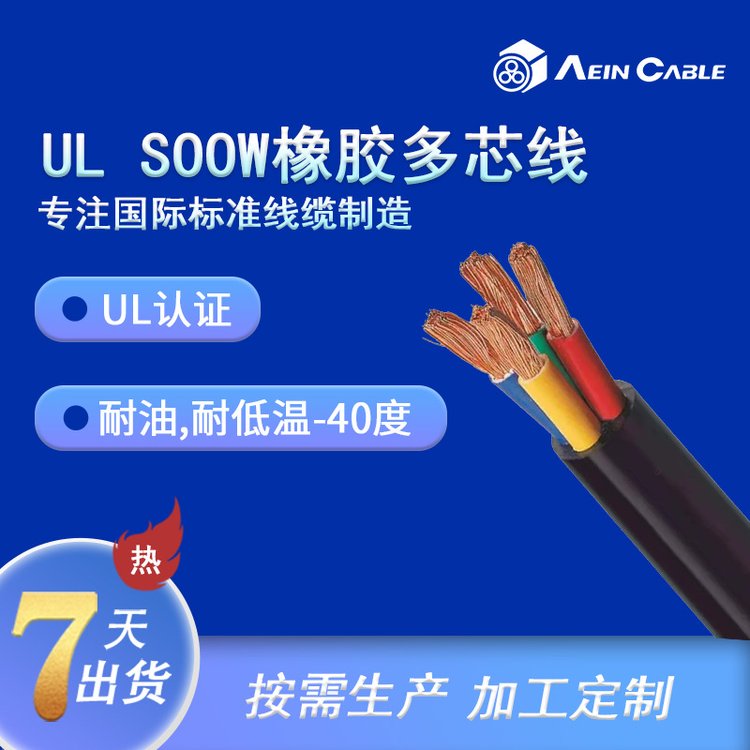 ڹӦUL62׼SOOWԴ600V