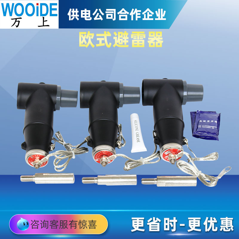 10KV~24KV-35KVɴŷʽBLQ·ֽ֧Tǰͷ