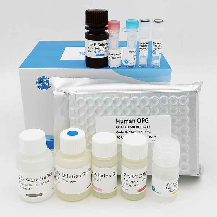 CUBEGFź2(SCUBE2)ø(elisa)Լ